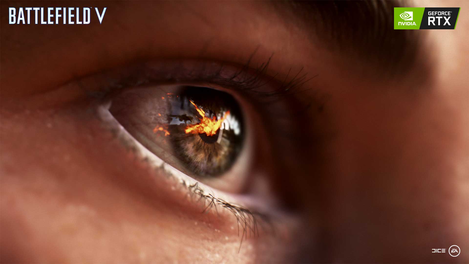 Како Nvidia стана хардвер гигант