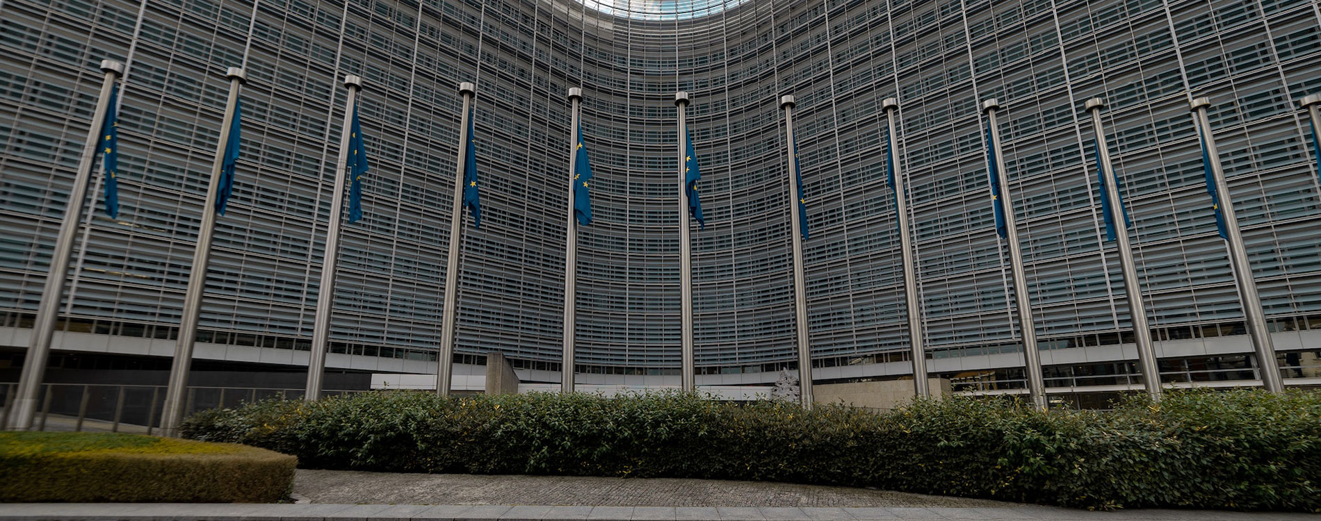 Официјално Alphabet, Amazon, Apple, ByteDance, Meta и Microsoft се