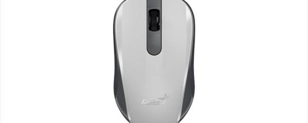 MOUSE WIRELESS USB GENIUS NX-8008S Silent White/Grey