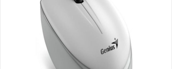 MOUSE WIRELESS USB GENIUS NX-7009 White/Grey