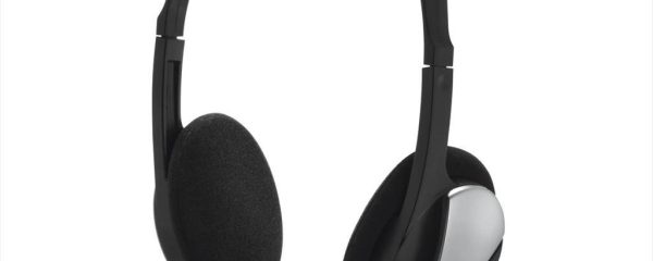 HEADPHONES HAMA HS-P100, w/microphone, 2x3,5mm, Black