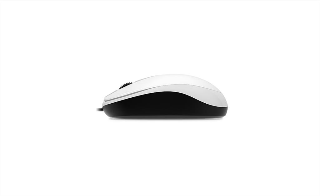 MOUSE WIRED USB GENIUS DX-120 White 07326