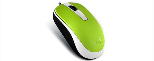 MOUSE WIRED USB GENIUS DX-120 Green