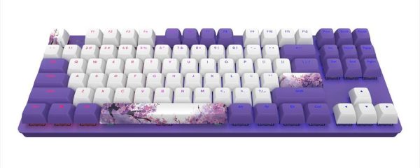 KEYBOARD MECHANICAL DARK PROJECT 87 VIOLET HORIZONS TKL RGB linear G3ms Sapphire switch, +4 switch