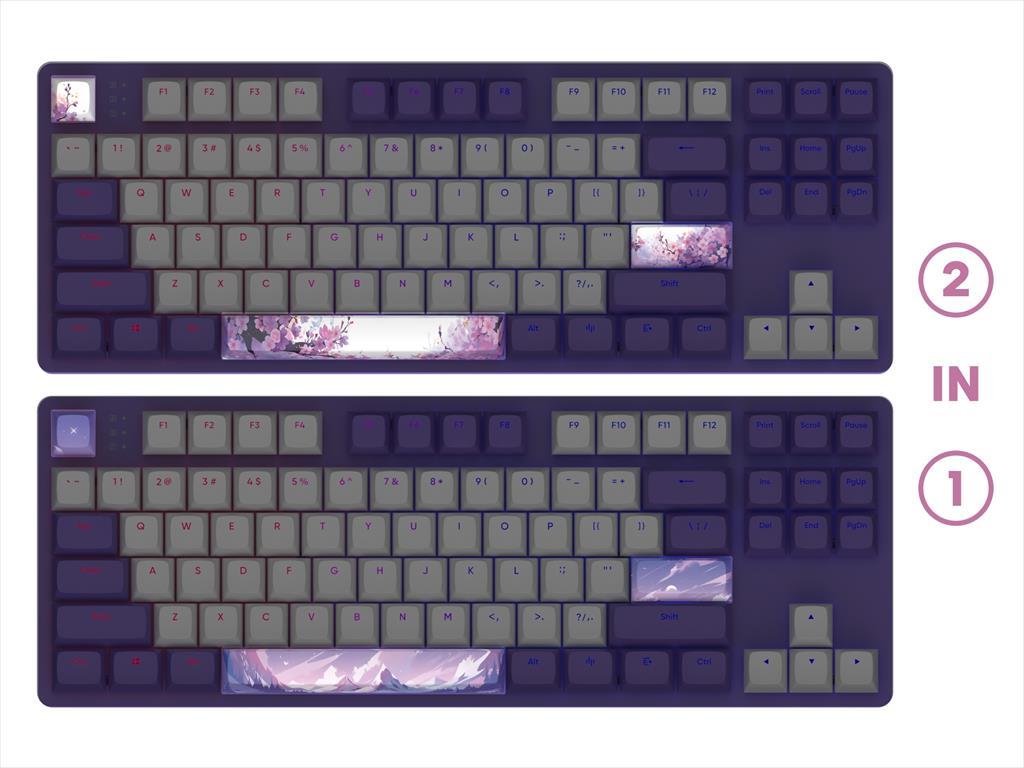 KEYBOARD MECHANICAL DARK PROJECT 87 VIOLET HORIZONS TKL RGB linear G3ms Sapphire switch, +4 switch 08617