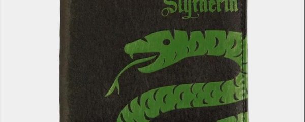 WARNER - HARRY POTTER - SLYTHERIN BIFOLD WALLET