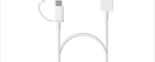 CABLES USB 2 in1 POWER BANK CABLE (Micro USB to Type-C) 100cm