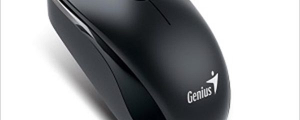 MOUSE WIRED PS/2 GENIUS DX-110 Black
