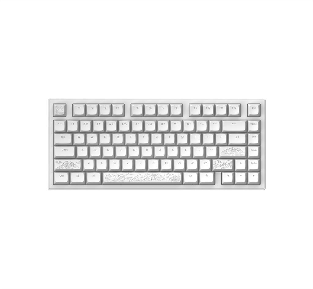 KEYBOARD MECHANICAL DARK PROJECT ALU81A TERRA NOSTRA WHITE HS RGB linear mechanical switches G3ms Moonstone- Pre-lubed, +4 switch, COILED CABLE 08741