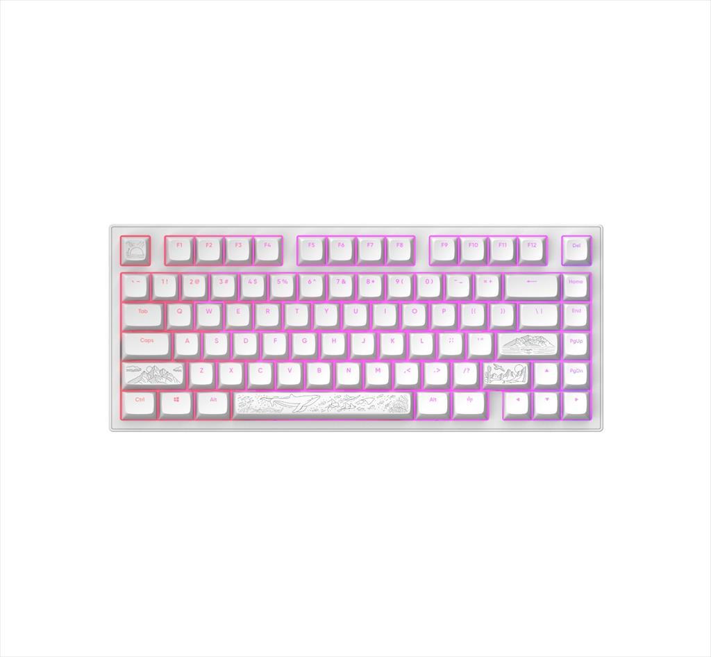 KEYBOARD MECHANICAL DARK PROJECT ALU81A TERRA NOSTRA WHITE HS RGB linear mechanical switches G3ms Moonstone- Pre-lubed, +4 switch, COILED CABLE 08741