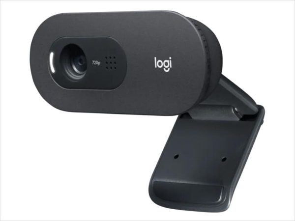 Web camera logitech hd c505e 720p w/mic 960-001372