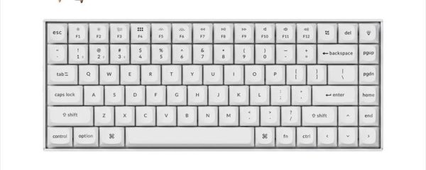 KEYBOARD MECHANICAL KEYCHRON K2 PRO PLASTIC FRAME QMK/VIA HS RGB LED 75% Keychron K PRO Banana switch Multi-Device (Wired+Bluetooth), White, K2P-P4