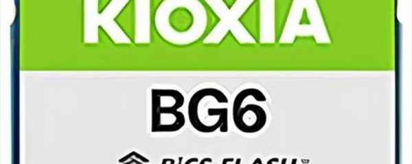 SSD M.2 512GB KIOXIA BG6 (2230) NVMe Gen4 KBG60ZNS512G