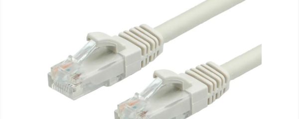 CABLES NET PATCH UTP CAT6a (500 MHz / Class EA) 0.3m grey Secomp, 21.99.0874-100
