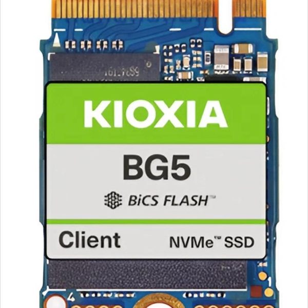SSD M.2 256GB KIOXIA BG5 NVMe Gen4 KBG50ZNS256G