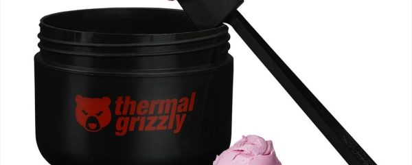 PAD THERMAL THERMAL GRIZZLY PUTTY BASIC (100g), TG-P-B-100