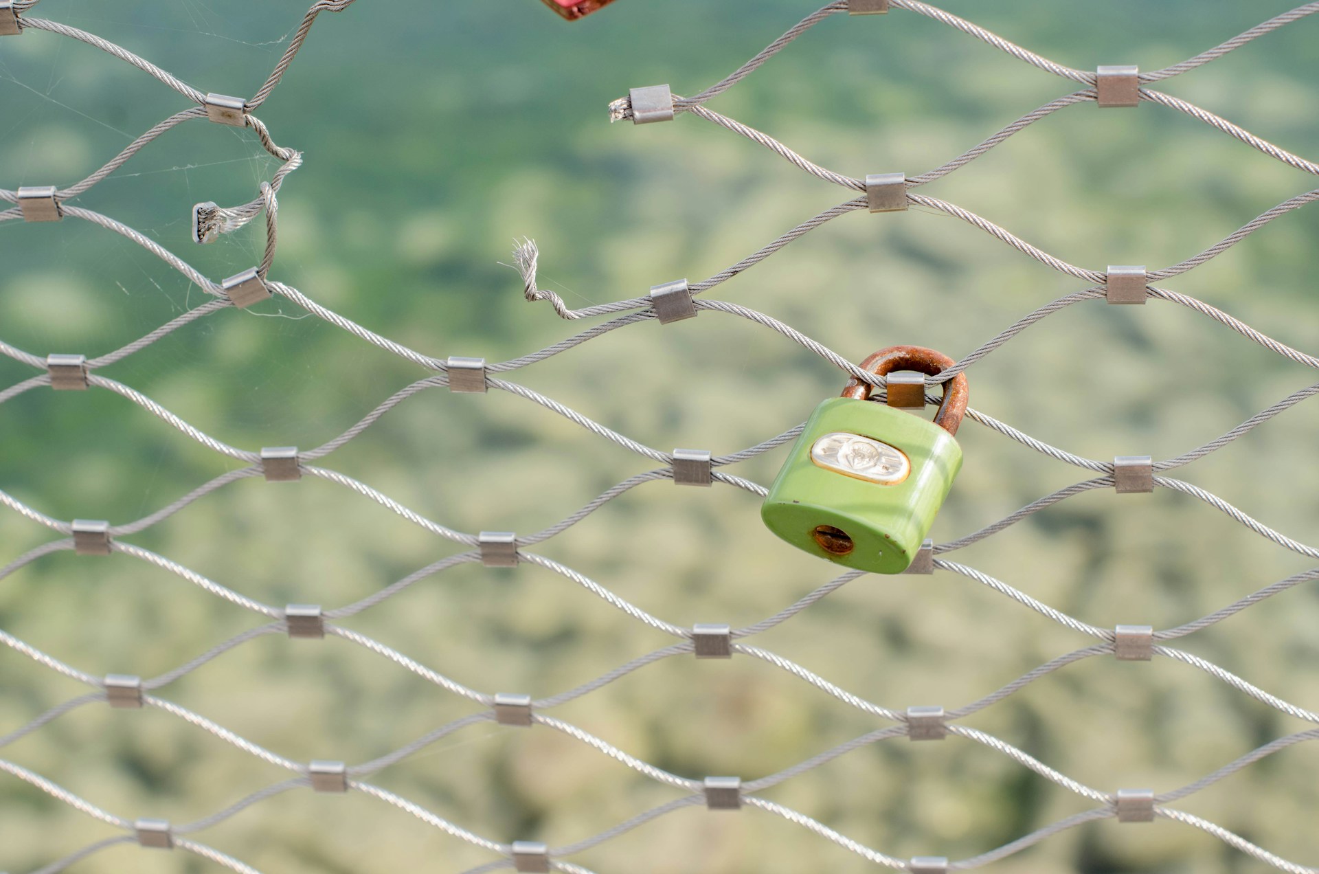 Интервју со Драган Илиевски : Микро-апликацијата PrivaLLM покрај бесплатната доби и деловна верзија